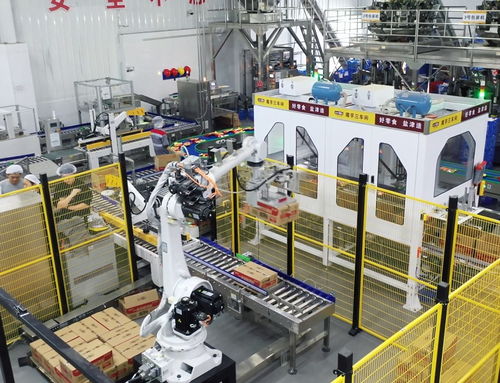 鹽津鋪子董事長張學武 以匠心與遠見，鑄就中國卓越食品制造企業