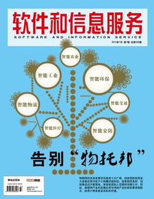 軟件信息咨詢服務 數字化時代的戰略導航