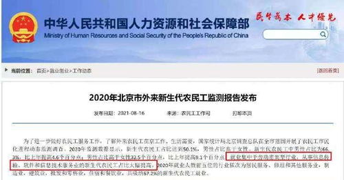 北京軟件信息服務(wù)業(yè)新生代農(nóng)民工占比提升 人才結(jié)構(gòu)新動態(tài)背后的機(jī)遇與挑戰(zhàn)